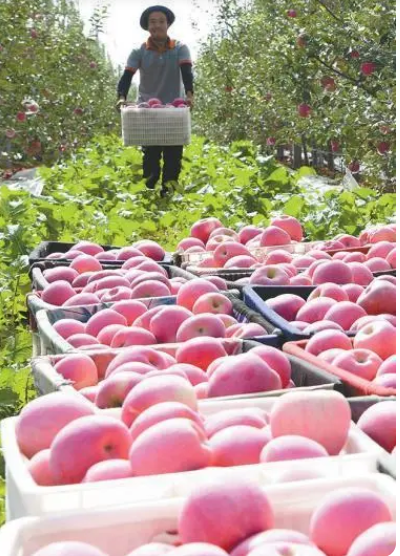 微信截图_20230526150220