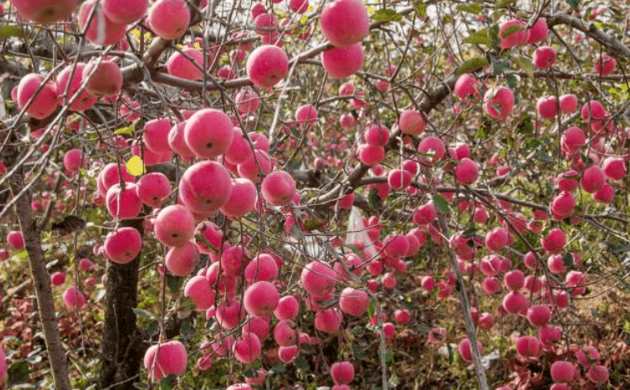 微信截图_20230526150657