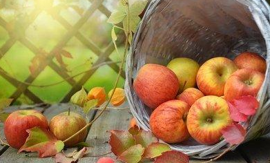 微信截图_20230526150816