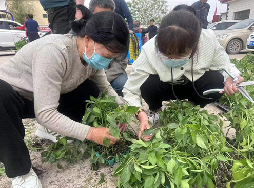 微信截图_20230526150949