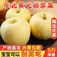 黄元帅苹果新鲜黄金帅粉苹果当季水果10斤黄蕉面烟台苹果整箱包邮