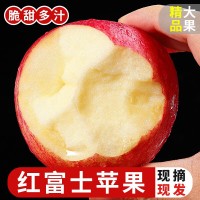 烟台红富士苹果水果10斤当季整箱山东栖霞新鲜苹果洛川苹果包邮