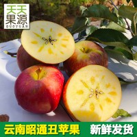 产地货源 云南昭通苹果5斤装冰糖心丑苹果红富士花牛批发一件代发