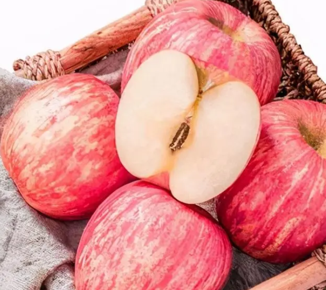 微信截图_20230529165133