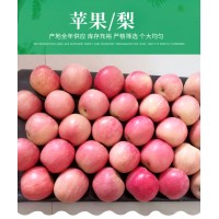 当季新鲜红富士苹果 自家果园现摘现发孕妇水果应季批发脆甜多汁