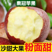陕西秦冠苹果粉面香甜丑苹果冰糖心应季新鲜水果//斤整箱批发