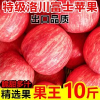 陕西洛川红富士苹果冰糖心脆甜新鲜水果批发