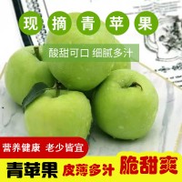 绿元帅青苹果新鲜现摘孕妇水果应当季酸甜萍果5斤黄元帅新品