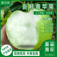 绿元帅青苹果新鲜孕妇水果应季酸甜萍果一箱5斤东北不套袋黄元帅