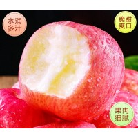 红富士苹果水果9斤新鲜山东栖霞特产脆甜丑萍果当季整箱5包邮