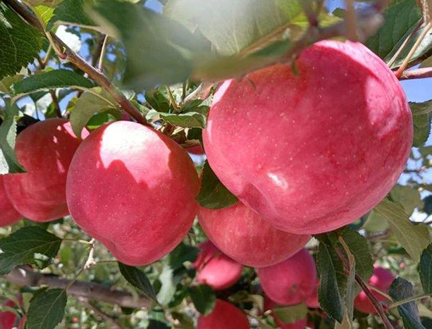 微信截图_20230531162639