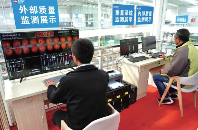 微信截图_20230531163825