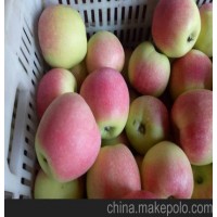 今日嘎啦／美八苹果价格行情
