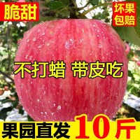苹果水果新鲜水果当季整箱陕西洛川丑苹果红富士一级脆甜10斤包邮