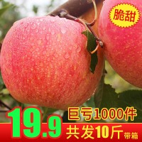 脆甜红富士苹果新鲜应季水果陕西苹果10斤冰糖心丑洛川苹果批发