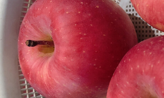 微信截图_20230605160435