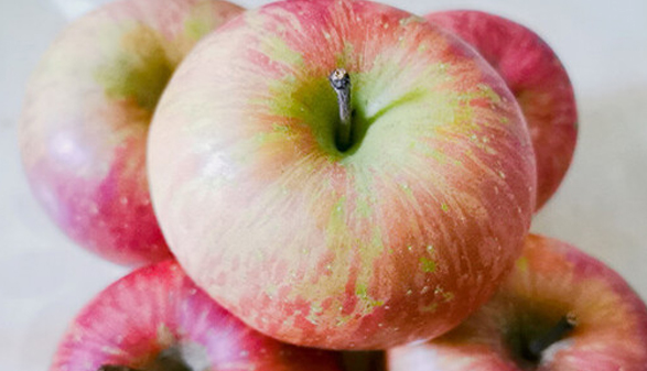 微信截图_20230605160440