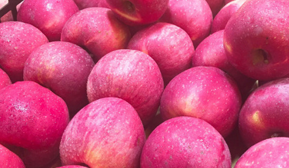 微信截图_20230605160446