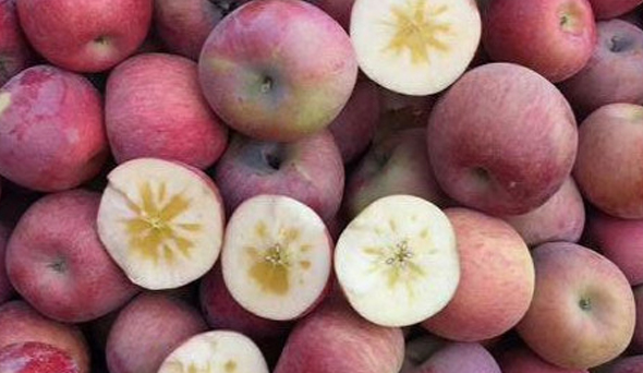 微信截图_20230606161027