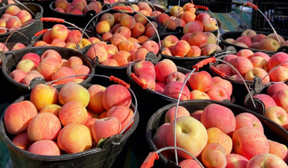 微信截图_20230606161041