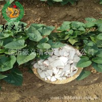 土地晾晒地瓜干切片地瓜片大量批发地瓜干番薯干芋头干厂家批发
