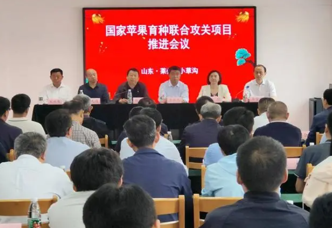 微信截图_20230608152929