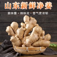 风干姜山东大姜月子姜原产地农家黄姜净重3斤实惠装一件代发