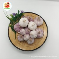 工厂出口普白大蒜头和纸皮大蒜头多种包装规格可按自己的要求做