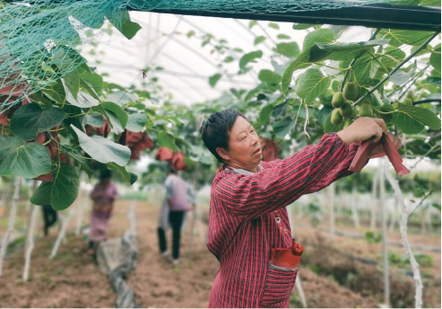 微信截图_20230609150920