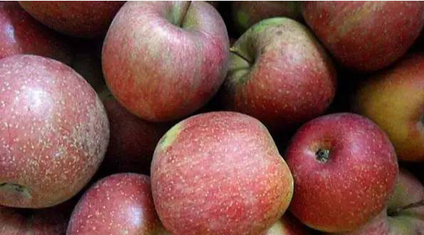 微信截图_20230612150630