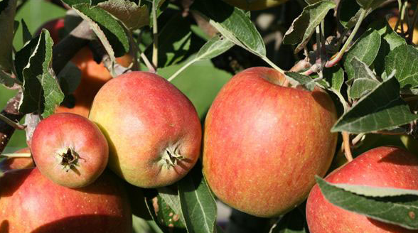 微信截图_20230612150635