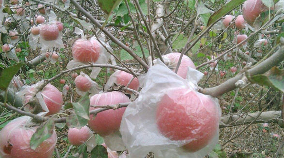 微信截图_20230612150639