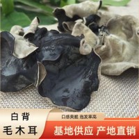 白背木耳毛肚木耳 泡发率高 肉厚片大 口感脆爽 毛木耳白背木耳
