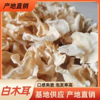 白木耳大白竹耳批量供应朵型完整肉质厚实干货白玉木耳白木耳