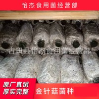 厚实完整菌菇 厂家直销香菇菌种 350g食用菌香菇种植菌包现货批发