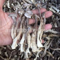 鹿茸菇鹿茸菌干货原件土特产农副产品食用菌酒店食材批发产地直供
