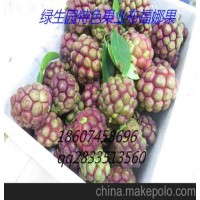 绿生园布福娜（菠萝葡萄)种苗批发/5元株