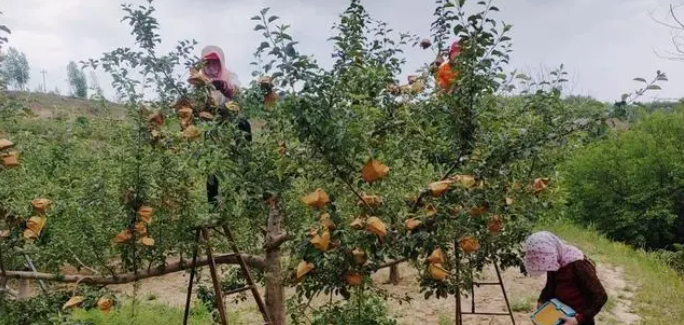 微信截图_20230620143347