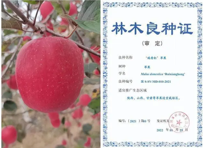 微信截图_20230620143512