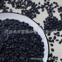 2019年产 小黑豆 陕北黑豆 农家黑豆 厂家销售批发