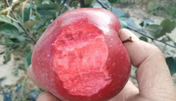 微信截图_20230626143537