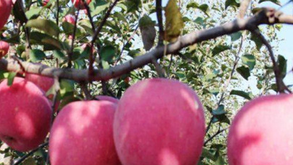 微信截图_20230626143543