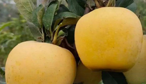 微信截图_20230626143548