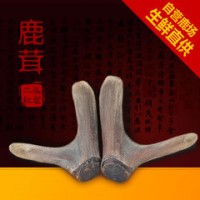 瑞宏鹿场批发干二杠头茬鹿茸 鹿茸片 红粉片 白粉片 新鲜二杠