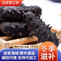 大连原产地直供500g散装大头辽刺淡干海参干货酒店佛跳墙食材批发