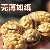 【代发】批发新疆特产新疆纸皮核桃薄皮易剥500克新疆薄皮核桃