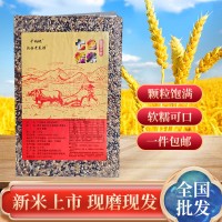 新品东北五常七色糙米五斤包邮 五谷杂粮粗粮粥 健身代餐主食糙米