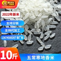 东北寒地香大米10斤 五常馨达新米黑龙江农家粳米长粒香大米