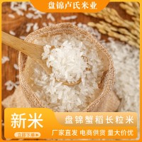 源头厂家量大从优编织袋包装现货新米盘锦蟹稻长粒香大米25kg50斤