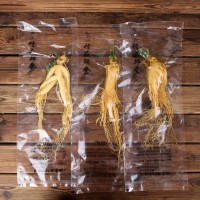 三江源东北特产长白山保鲜参多规格 120g/棵袋装人参产地批发